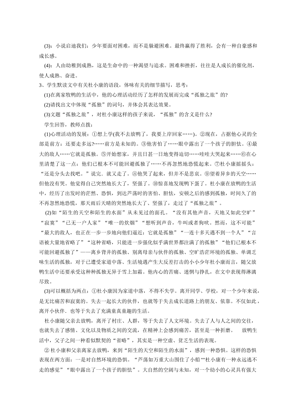 九年级语文10 孤独之旅3 教案人教版_第3页