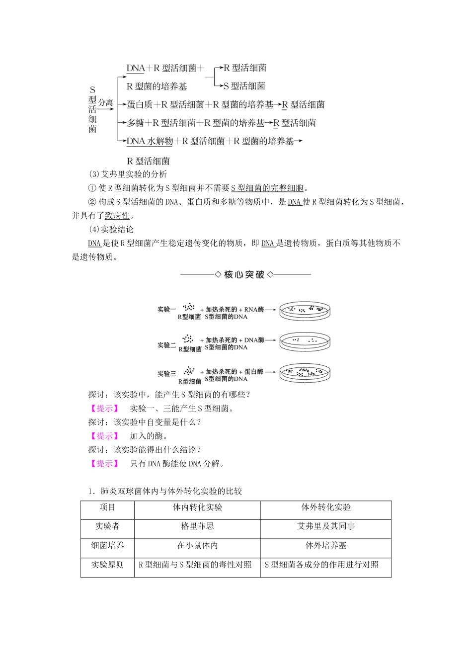 高中生物 第4章 遗传的分子基础 第1节 探索遗传物质的过程学案 苏教版必修2-苏教版高二必修2生物学案_第2页