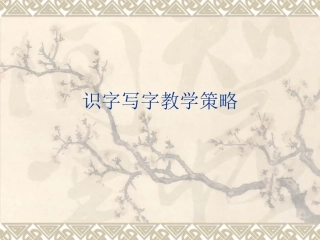 识字写字教学策略