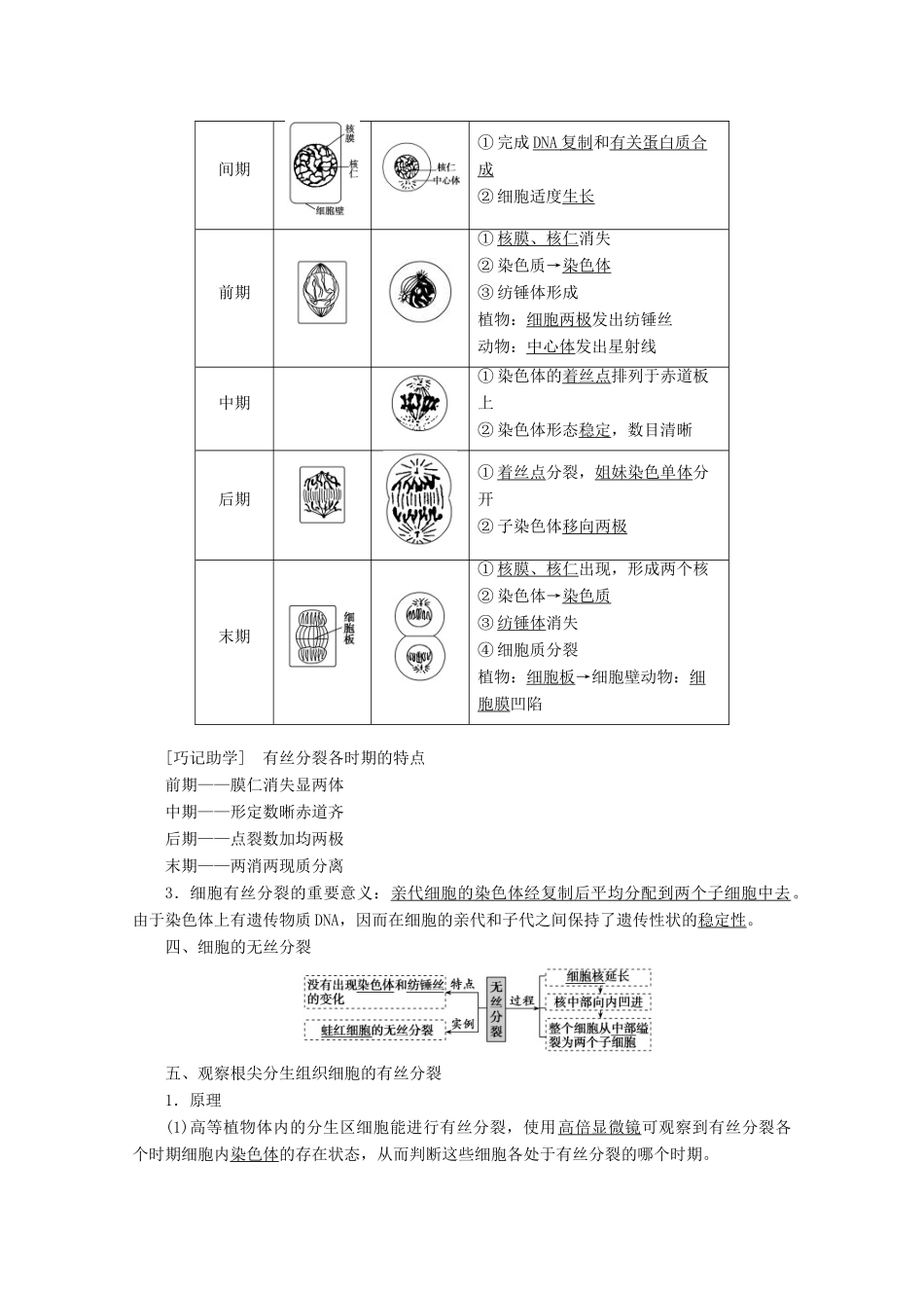 高考生物一轮复习 第四单元 细胞的生命历程 第一讲 细胞的增殖学案 新人教版-新人教版高三全册生物学案_第2页