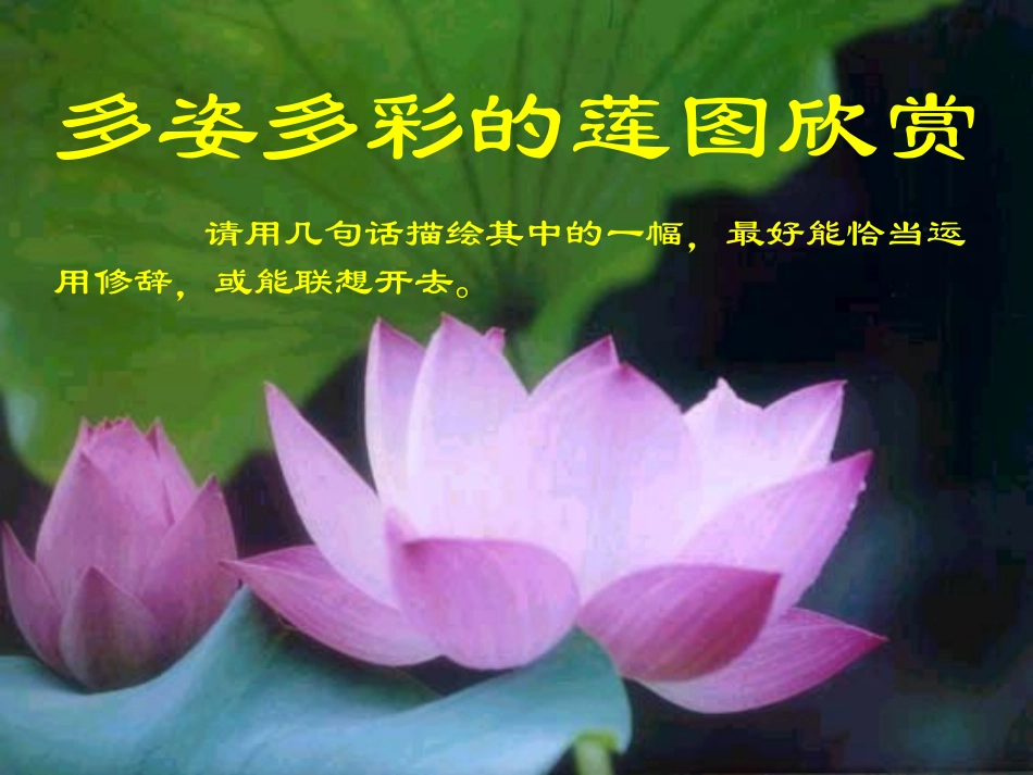 综、连文化的魅力_第3页