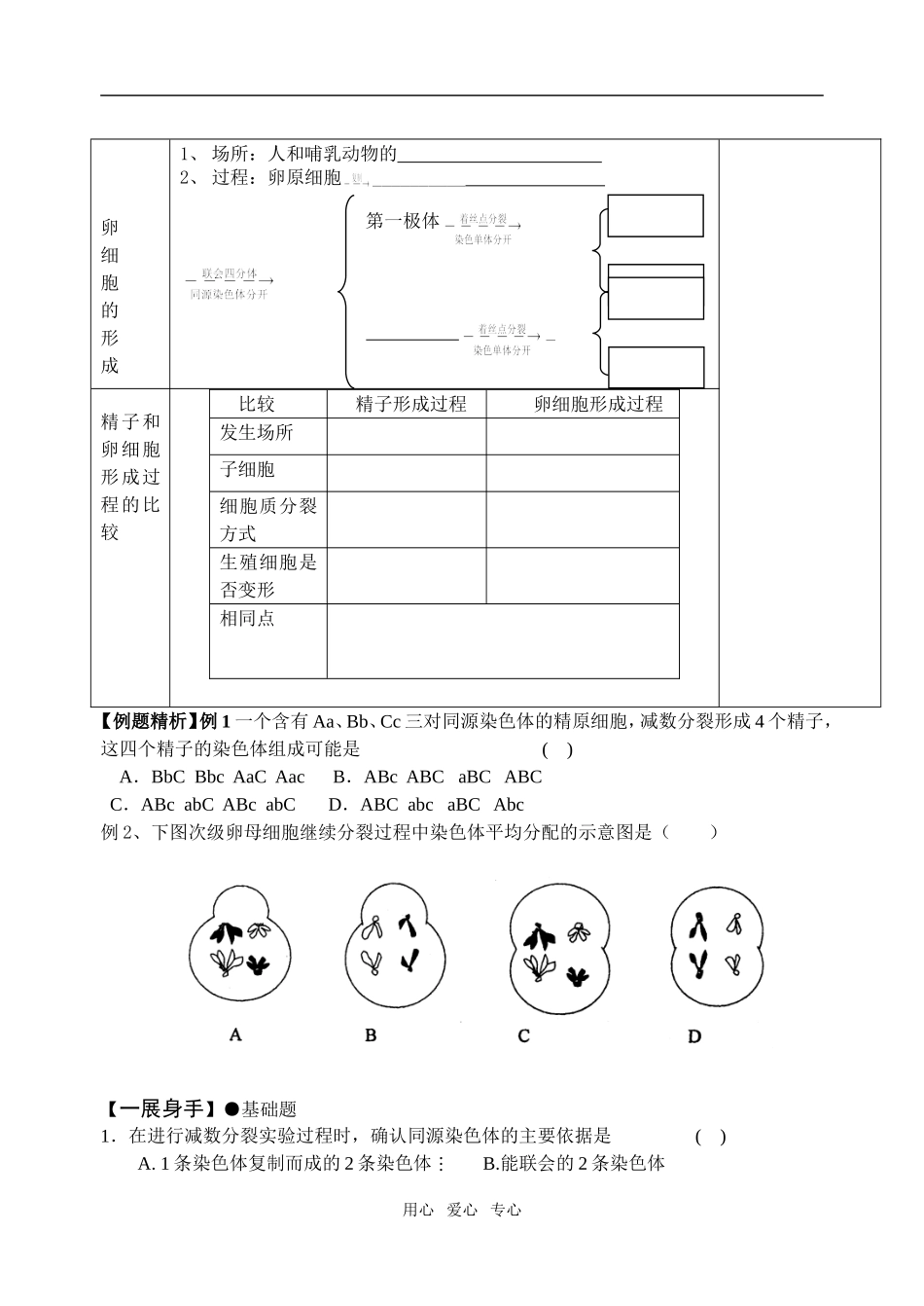 2.1.1减数分裂01_第2页