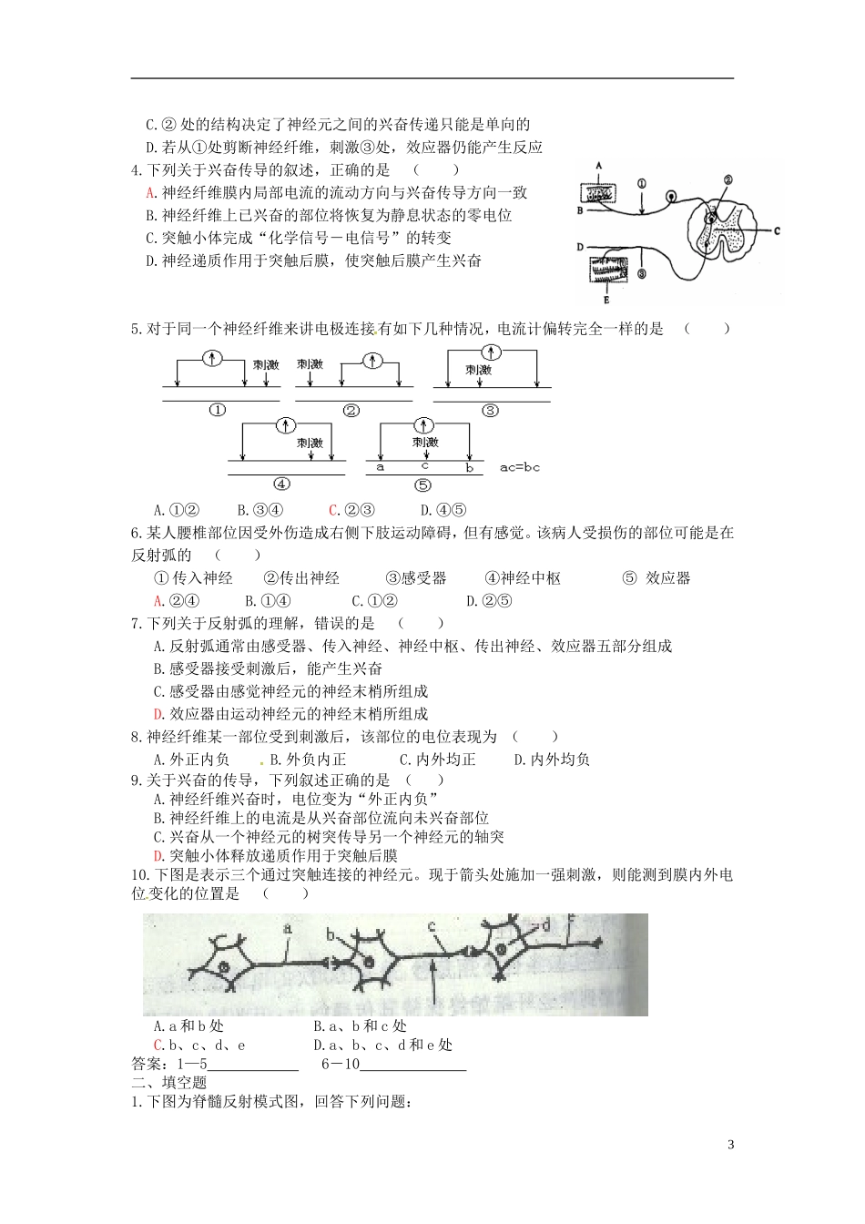 高中生物 2.1通过神经系统的调节（1）学案 新人教版必修3-新人教版高二必修3生物学案_第3页