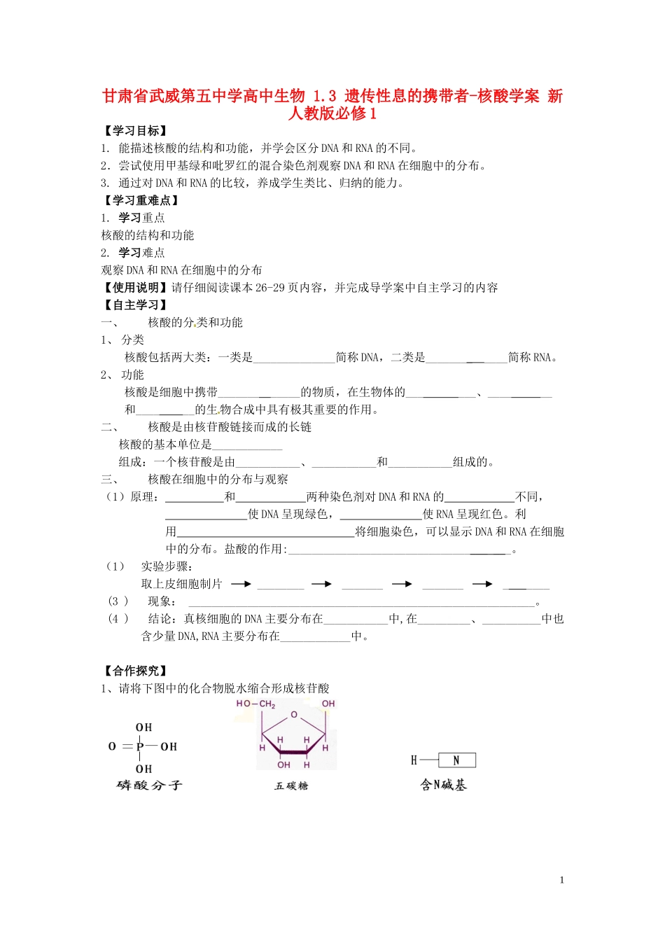 甘肃省武威第五中学高中生物 1.3 遗传性息的携带者-核酸学案 新人教版必修1_第1页