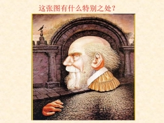 奇特的视觉图形