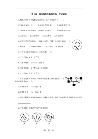 第2章　基因和染色体的关系　变式训练