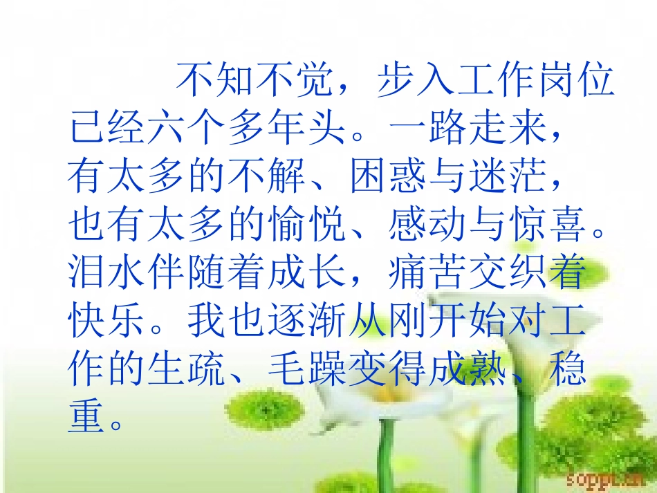 班主任交流——平凡中品味快乐_第2页