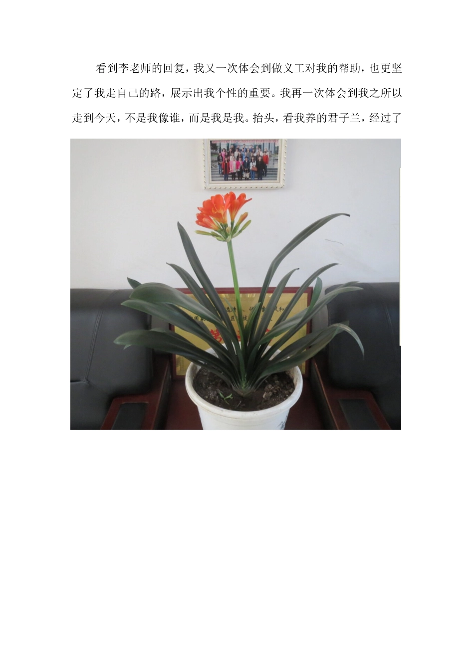 写作“万物的心”的阅读思考_第3页