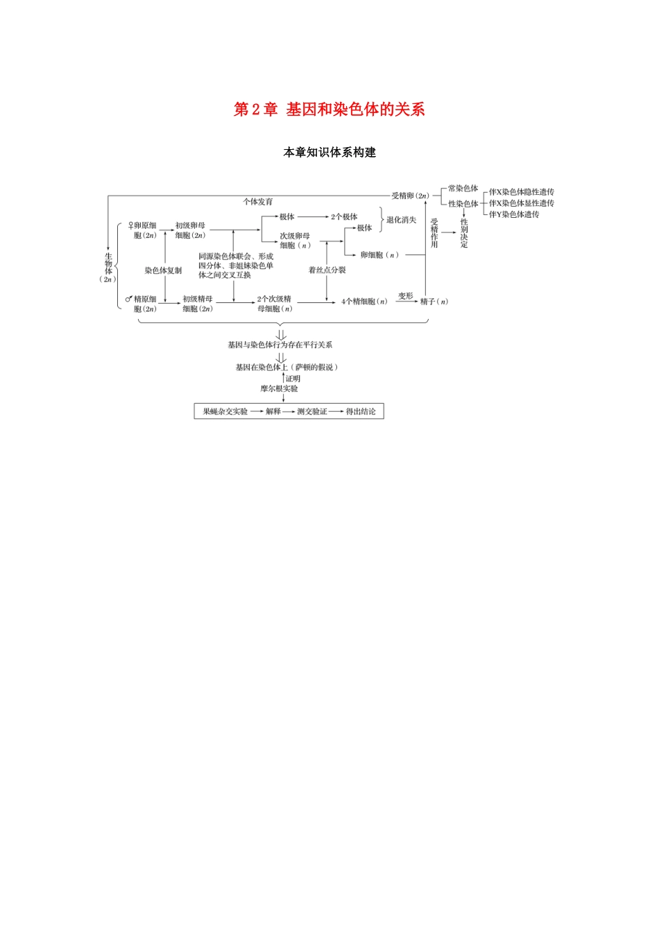高中生物 第2章 基因和染色体的关系本章知识体系构建学案 新人教版必修2-新人教版高一必修2生物学案_第1页