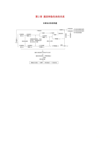 高中生物 第2章 基因和染色体的关系本章知识体系构建学案 新人教版必修2-新人教版高一必修2生物学案