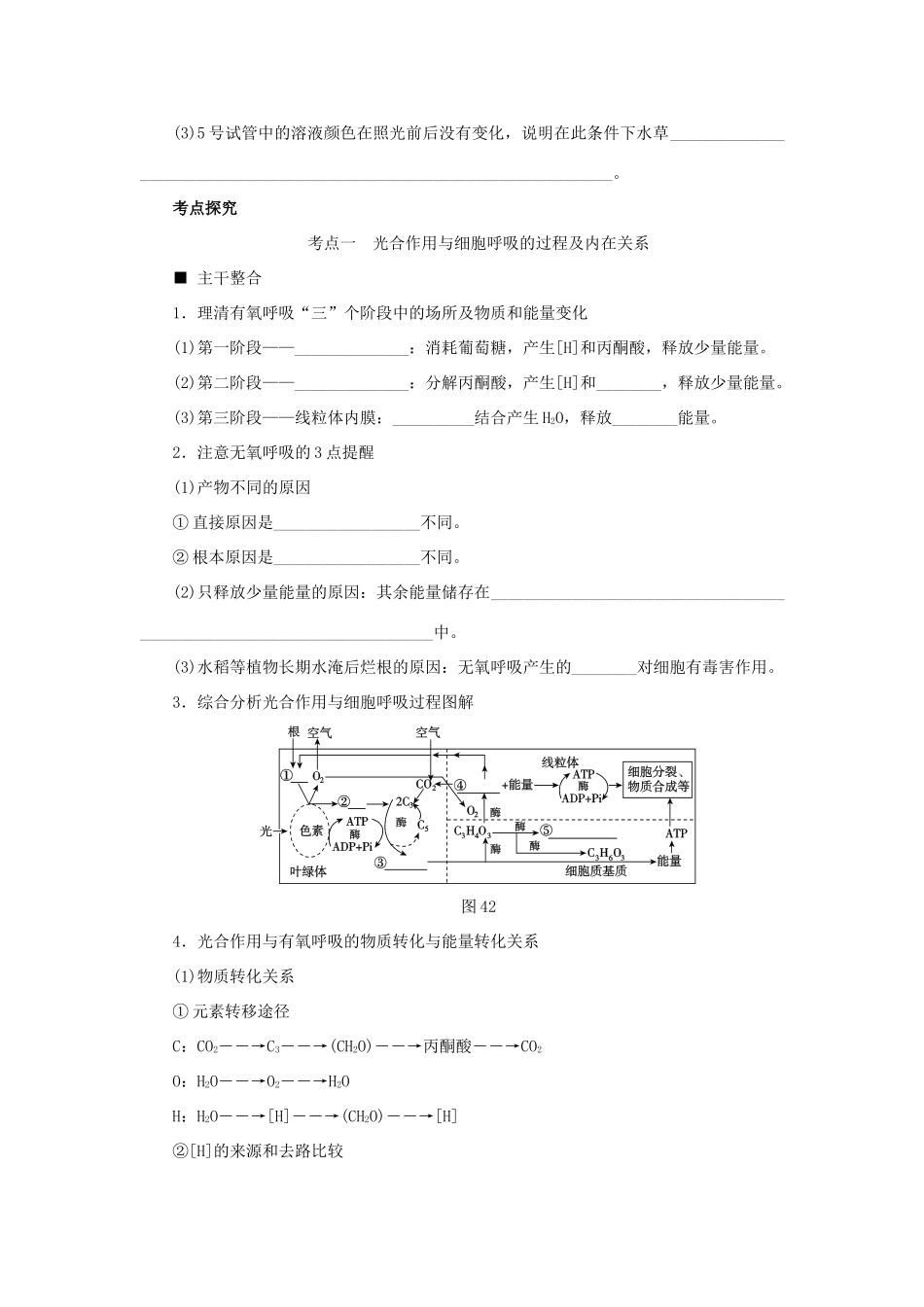 高考生物二轮复习 专题 光合作用与细胞呼吸导学案-人教版高三全册生物学案_第3页
