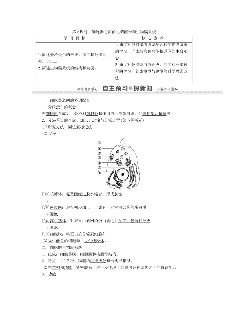 高中生物 第3章 细胞的基本结构 第2节 第2课时 细胞器之间的协调配合和生物膜系统学案 新人教版必修1-新人教版高一必修1生物学案_第1页