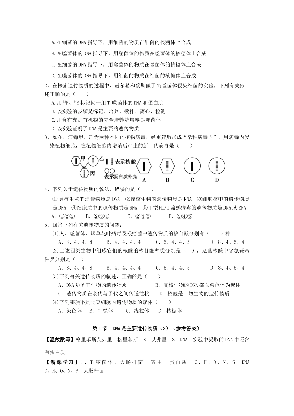 高中生物 第3章 基因的本质 第1节 DNA是主要遗传物质（2）导学案 新人教版必修2-新人教版高一必修2生物学案_第3页