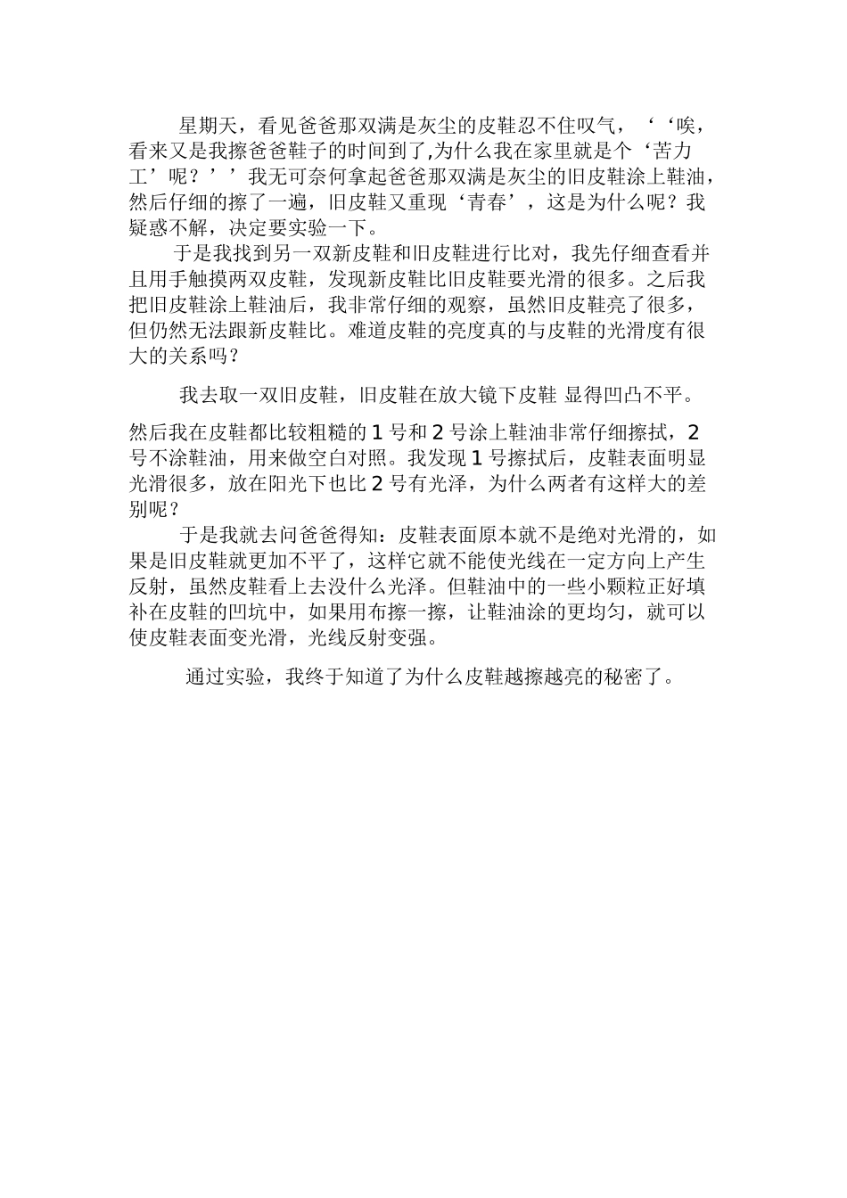 擦皮鞋的秘密_第2页