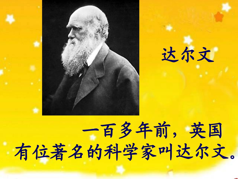 我的有趣的发现（第二课时）_第2页