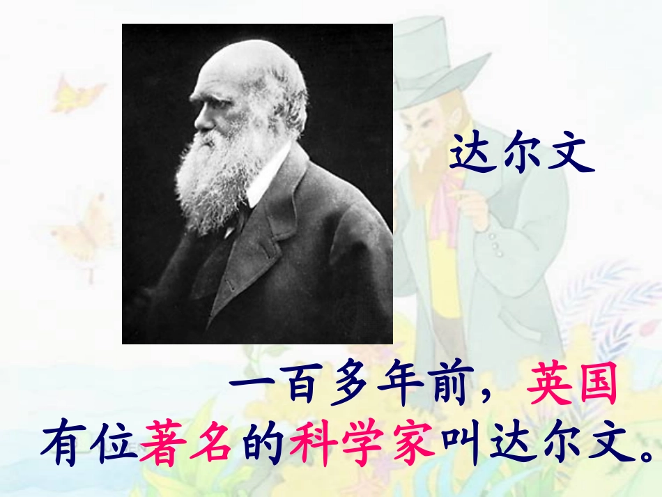 我的有趣的发现（第二课时）_第3页