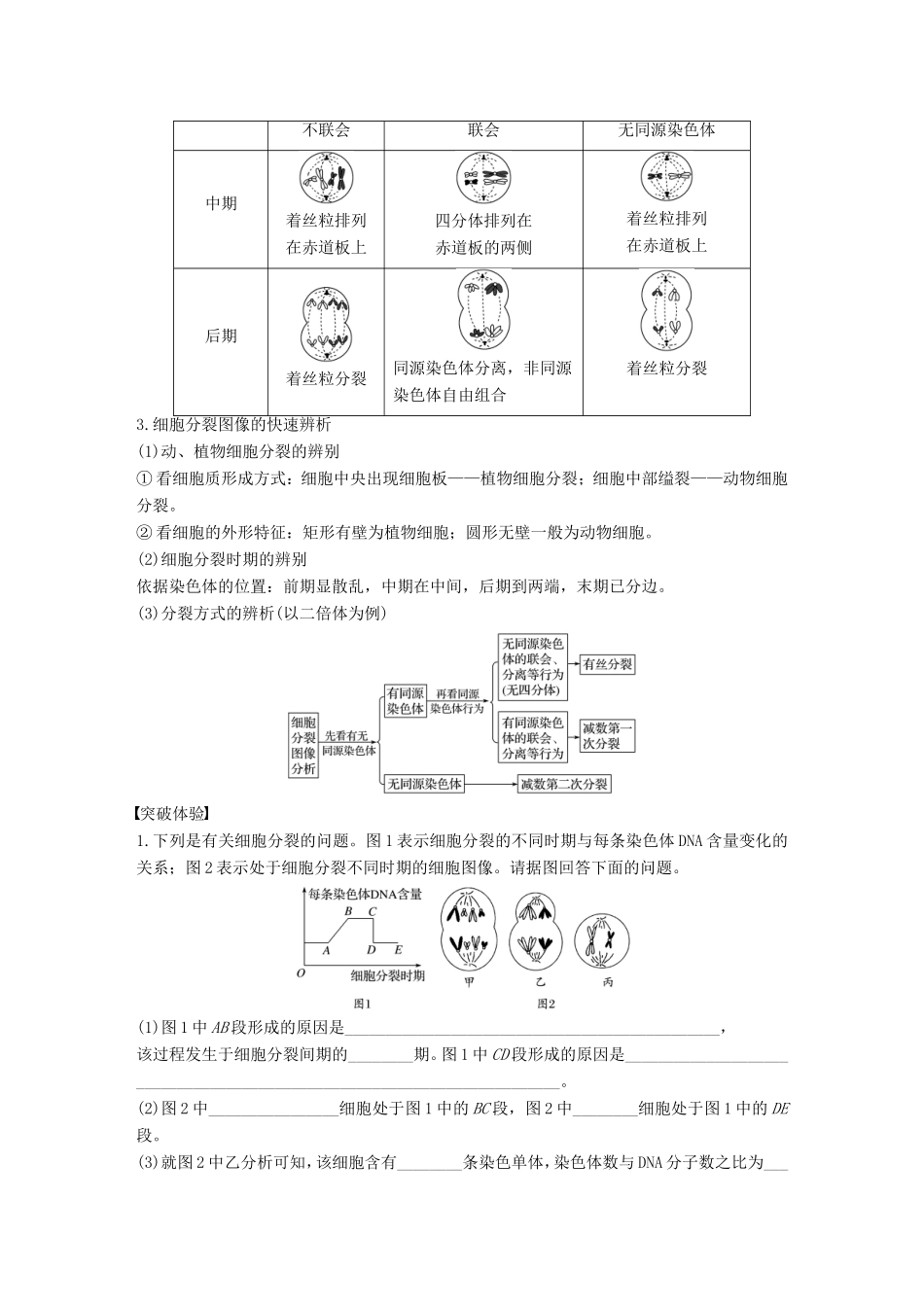 高中生物 1.1 染色体在有性生殖中的变化 整合提升学案 中图版必修2-中图版高中必修2生物学案_第2页