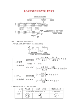 高中生物 1.1 染色体在有性生殖中的变化 整合提升学案 中图版必修2-中图版高中必修2生物学案