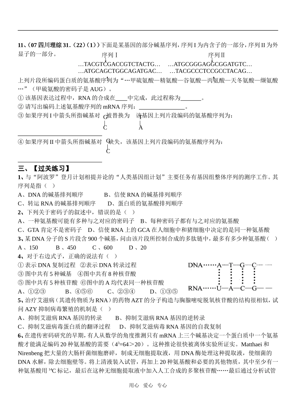 第六章  遗传和变异   第一节 遗传的物质基础    三、基因的结构与表达_第3页