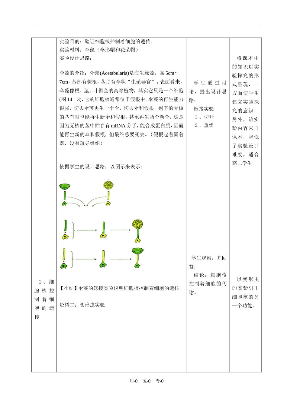 第二章 第四节 细胞核_第3页