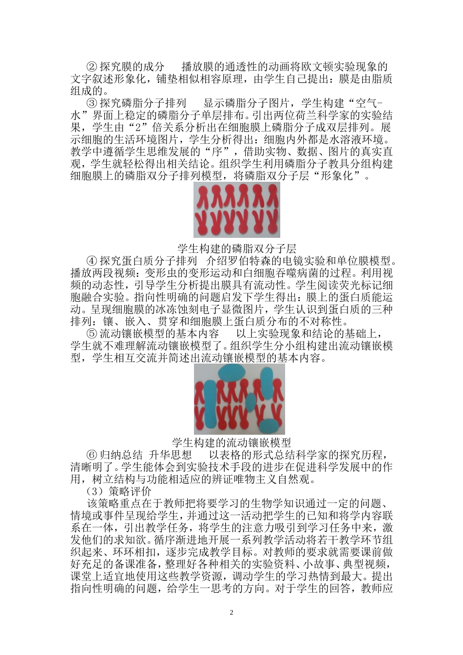 高中生物有效教学策略探讨与反思_第2页