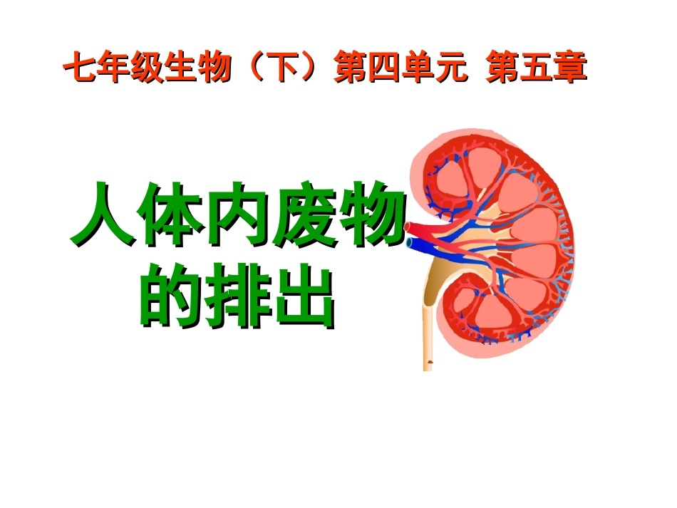 人体内废物的排出第一课时_第1页