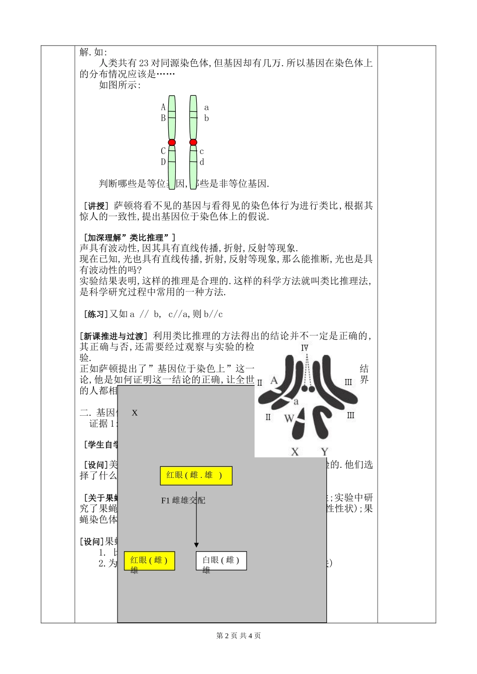 基因在染色体上的教案_第2页