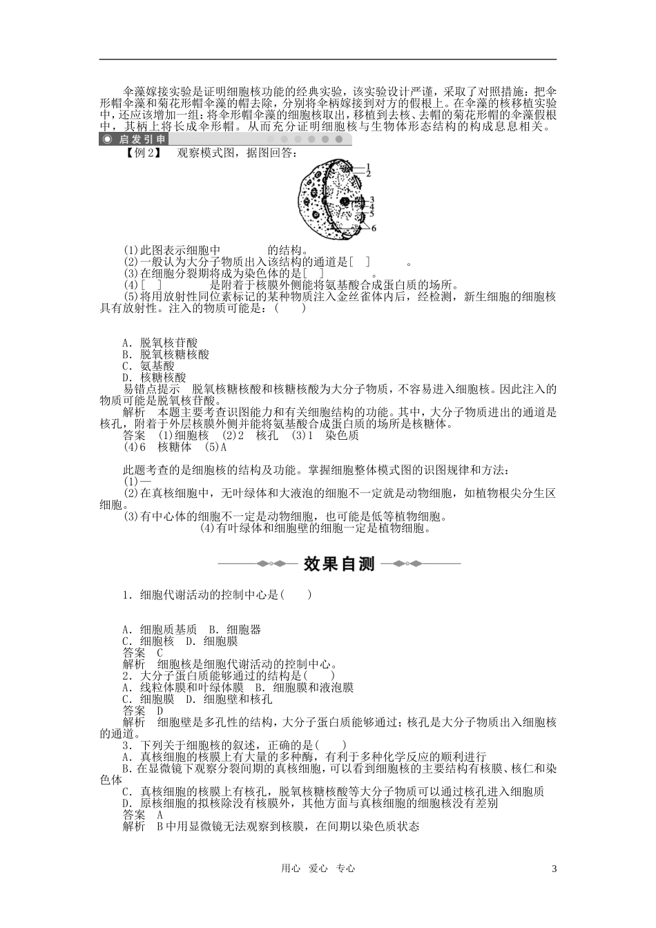 10-11学年高中生物 第三章细胞的基本结构（第3节）同步学案 新人教版必修1_第3页