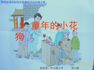 童年的小花狗第二课时