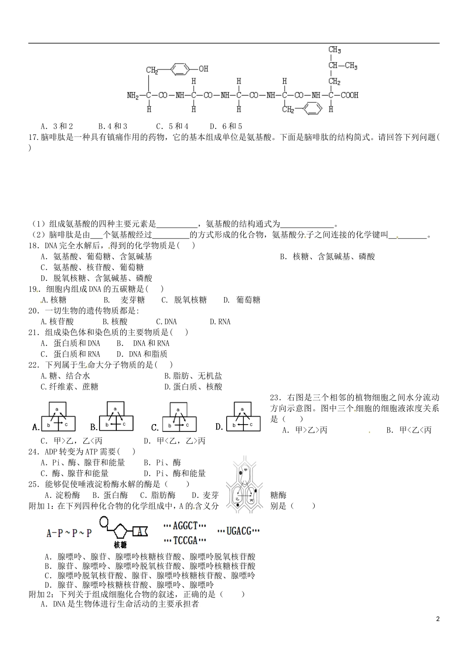 北京市第一五四中学高中生物 测验2学案 浙科版必修1_第2页