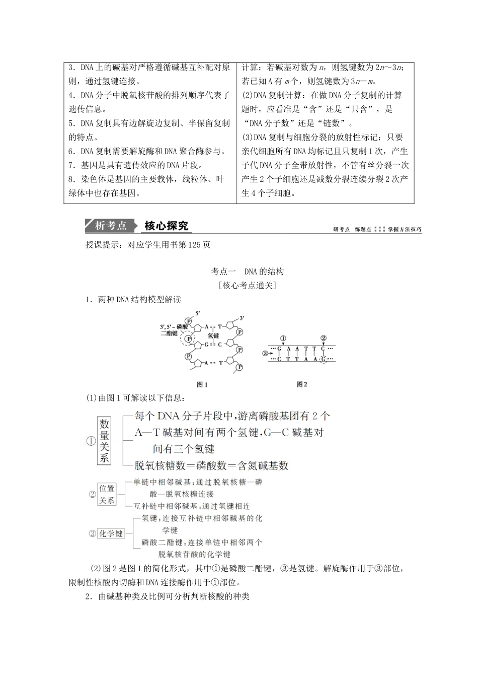 高考生物一轮复习 第六单元 遗传的分子基础 第二讲 DNA分子的结构、复制以及基因的本质学案 新人教版-新人教版高三全册生物学案_第3页