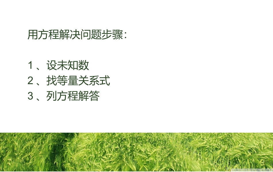 用方程解决问题_第2页