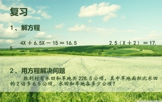 用方程解决问题