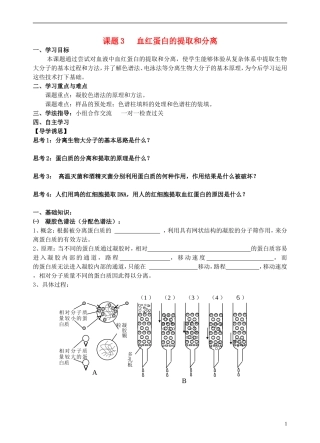 高中生物 5.3血红蛋白的提取和分离学案 新人教版选修1-新人教版高二选修1生物学案