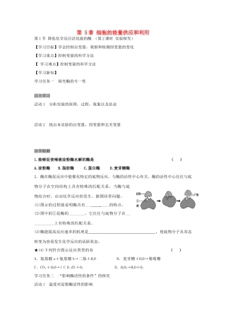 高中生物 5.1 降低化学反应活化能的酶导学案2 新人教版必修1-新人教版高一必修1生物学案