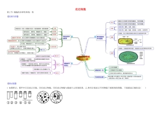 高中生物 1 1.2 细胞的多样性和统一性教材图解学案 新人教版必修1-新人教版高一必修1生物学案