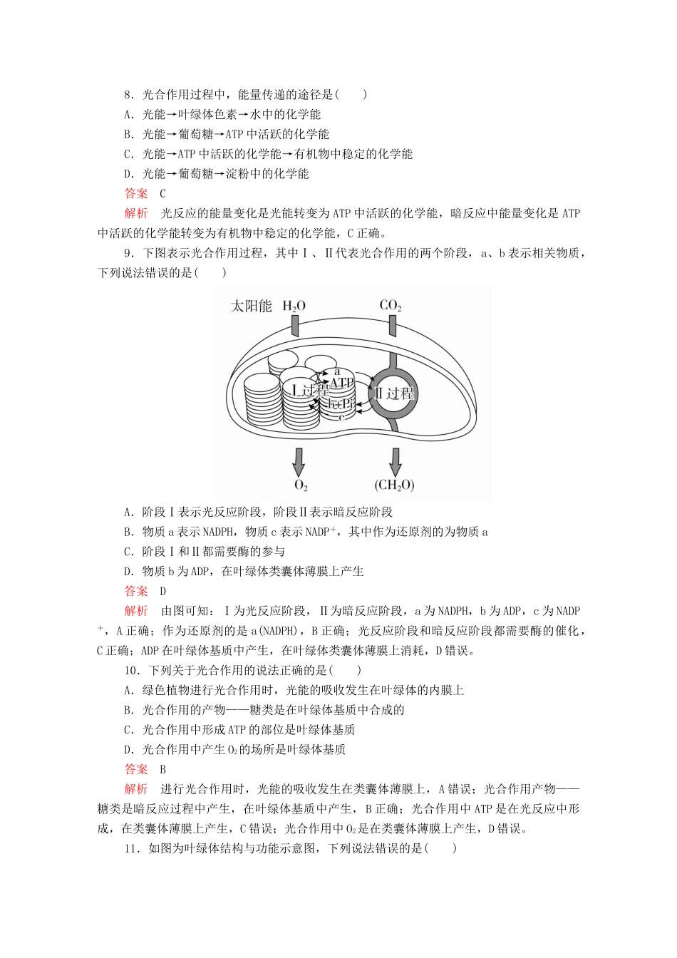 高中生物 第5章 第4节 第二课时 光合作用的原理学案 新人教版必修1-新人教版高中必修1生物学案_第3页