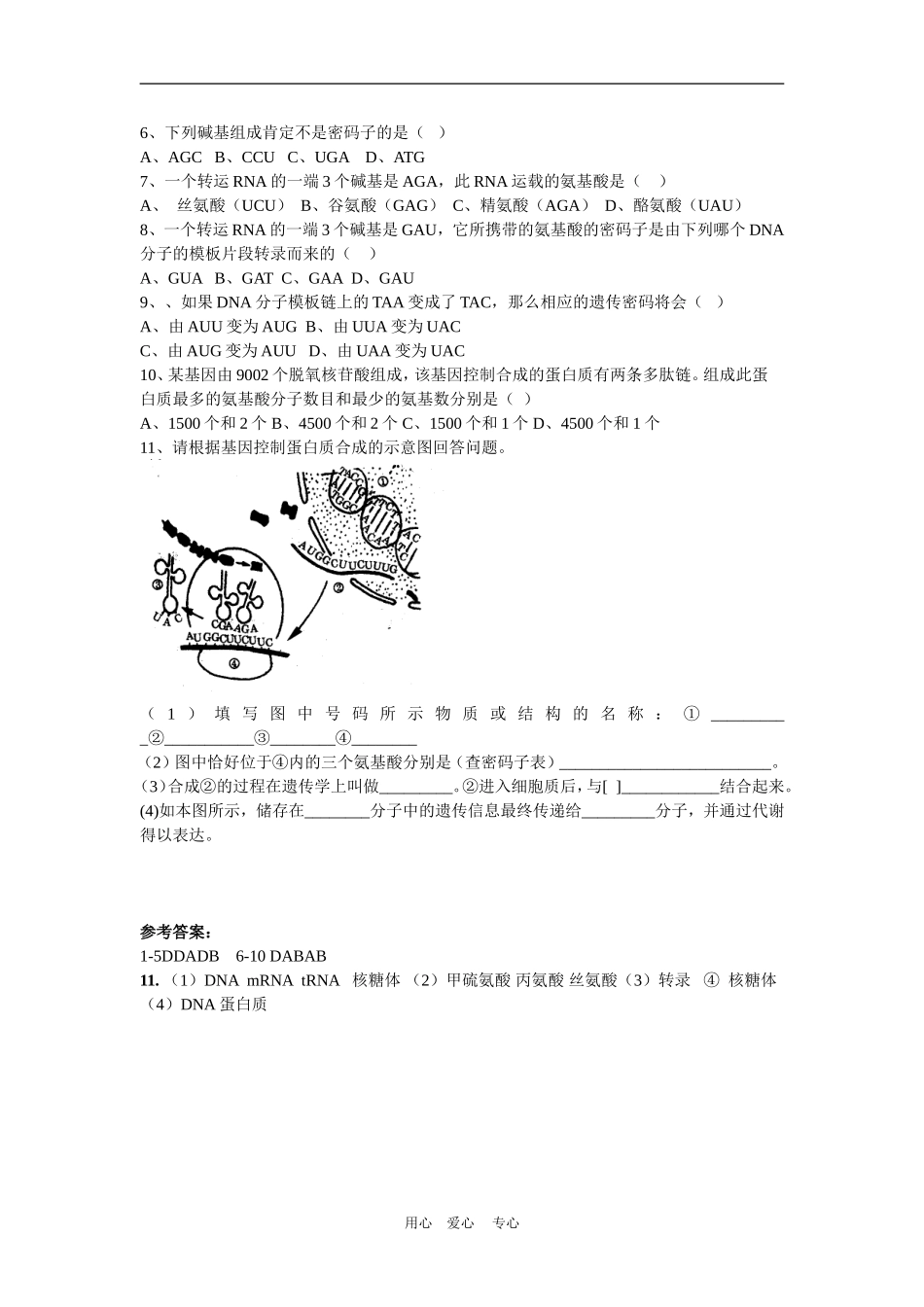 高中生物 4.1基因指导蛋白质的合成 学案导学 新人教版必修2_第3页