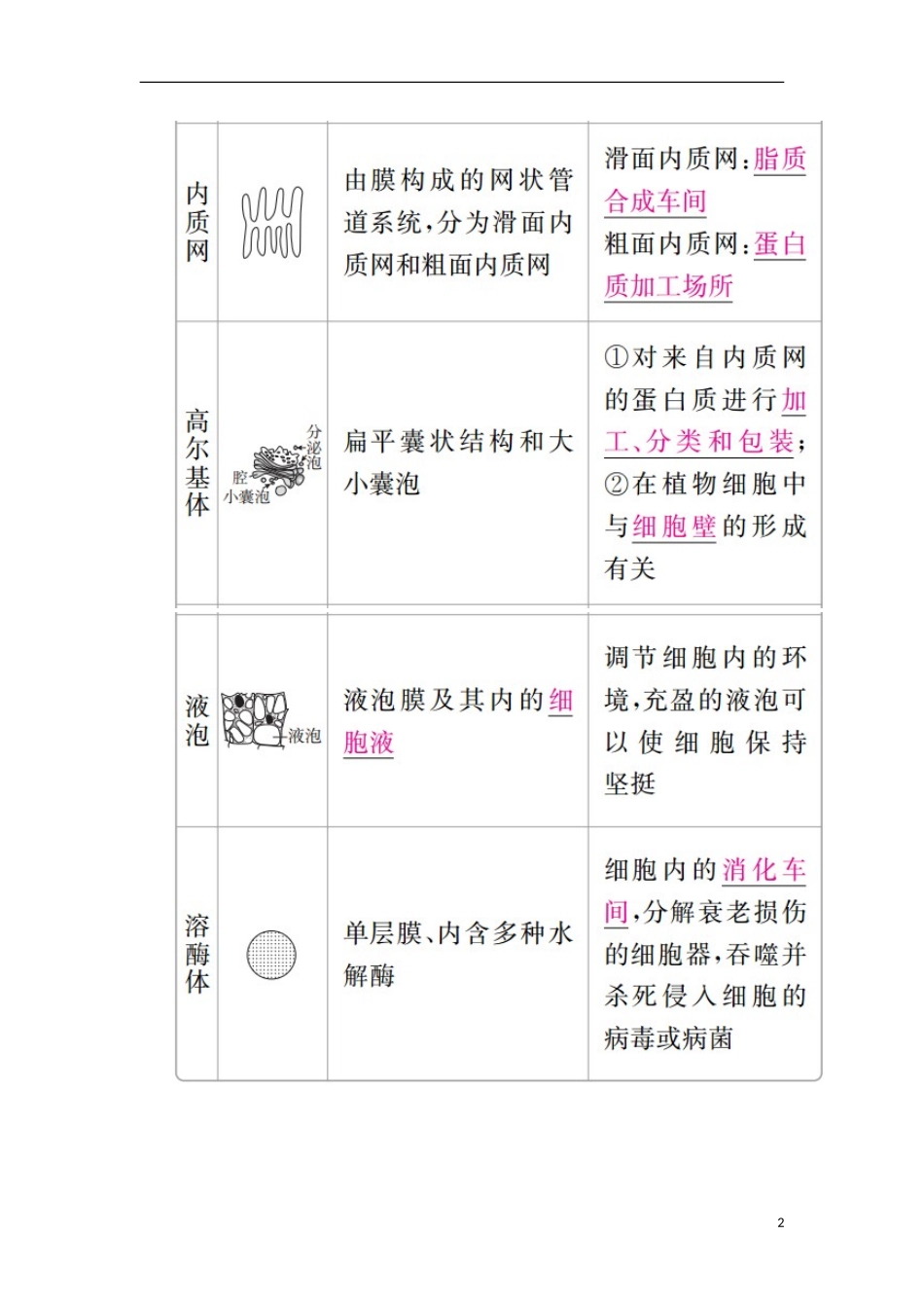 （全国版）高考生物一轮复习 第6讲 细胞器与生物膜系统培优学案-人教版高三全册生物学案_第2页