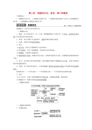 高考生物一轮复习 第四单元 细胞的生命历程 第三讲 细胞的分化、衰老、凋亡和癌变学案 新人教版-新人教版高三全册生物学案