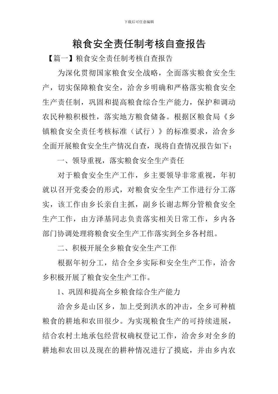 粮食安全责任制考核自查报告_第1页