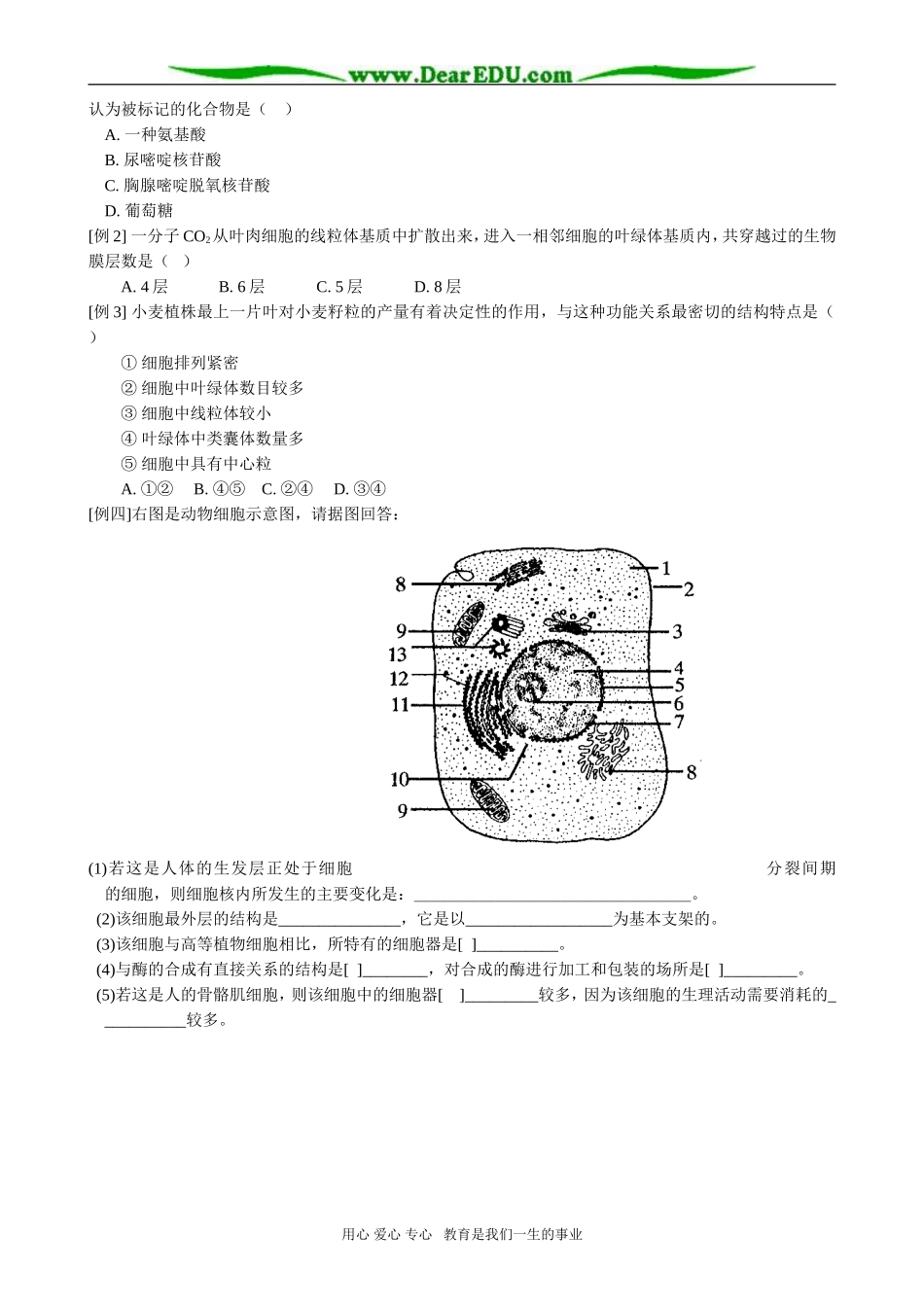 高考生物二轮复习之生命的结构基础_第2页