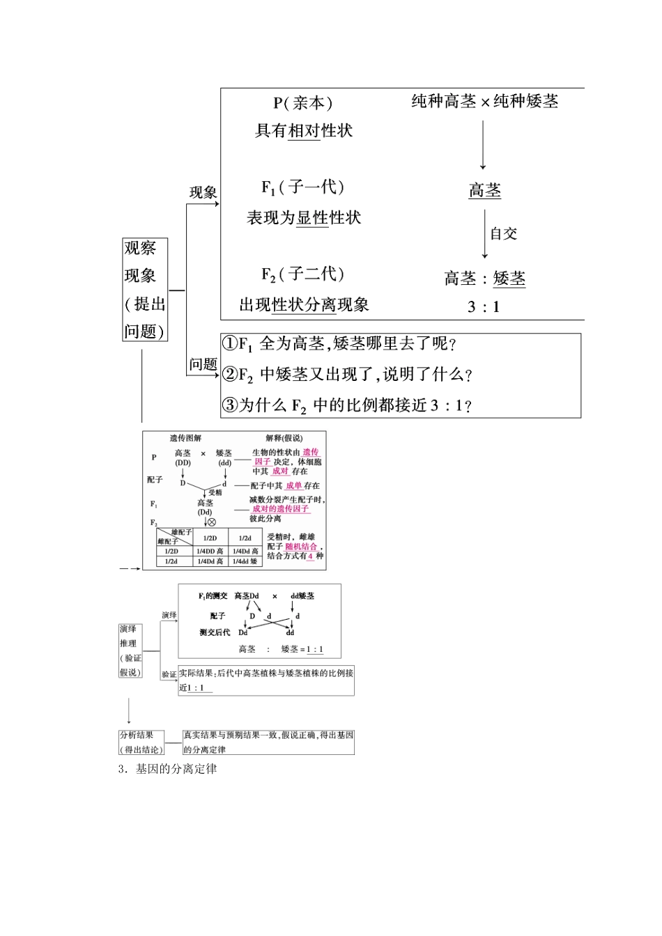 （新高考）高考生物一轮复习 必修部分 模块2 遗传与进化 第1单元 遗传的基本规律 第1讲 孟德尔豌豆杂交实验（一）学案 新人教版-新人教版高三必修生物学案_第2页