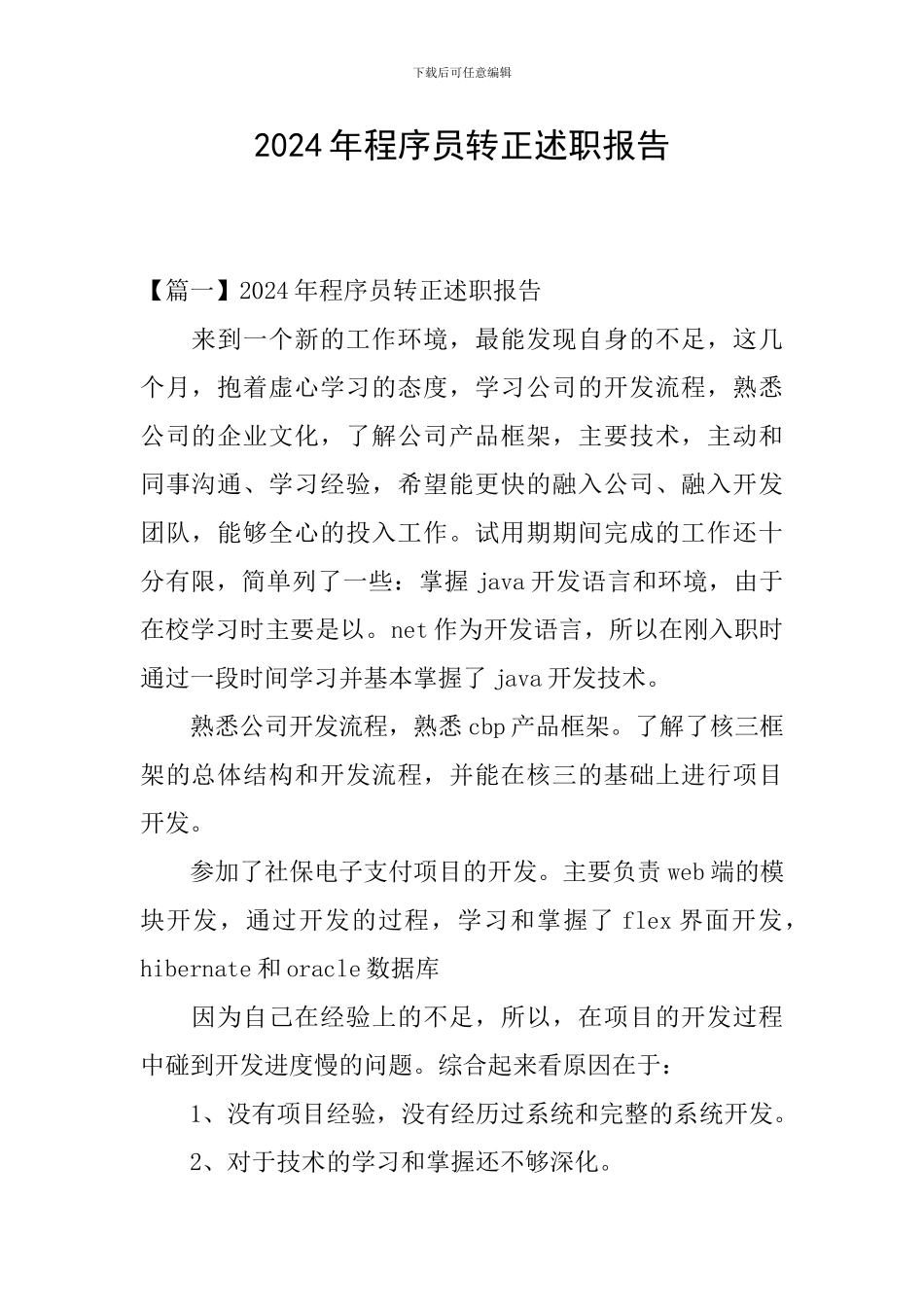 2024年程序员转正述职报告_第1页