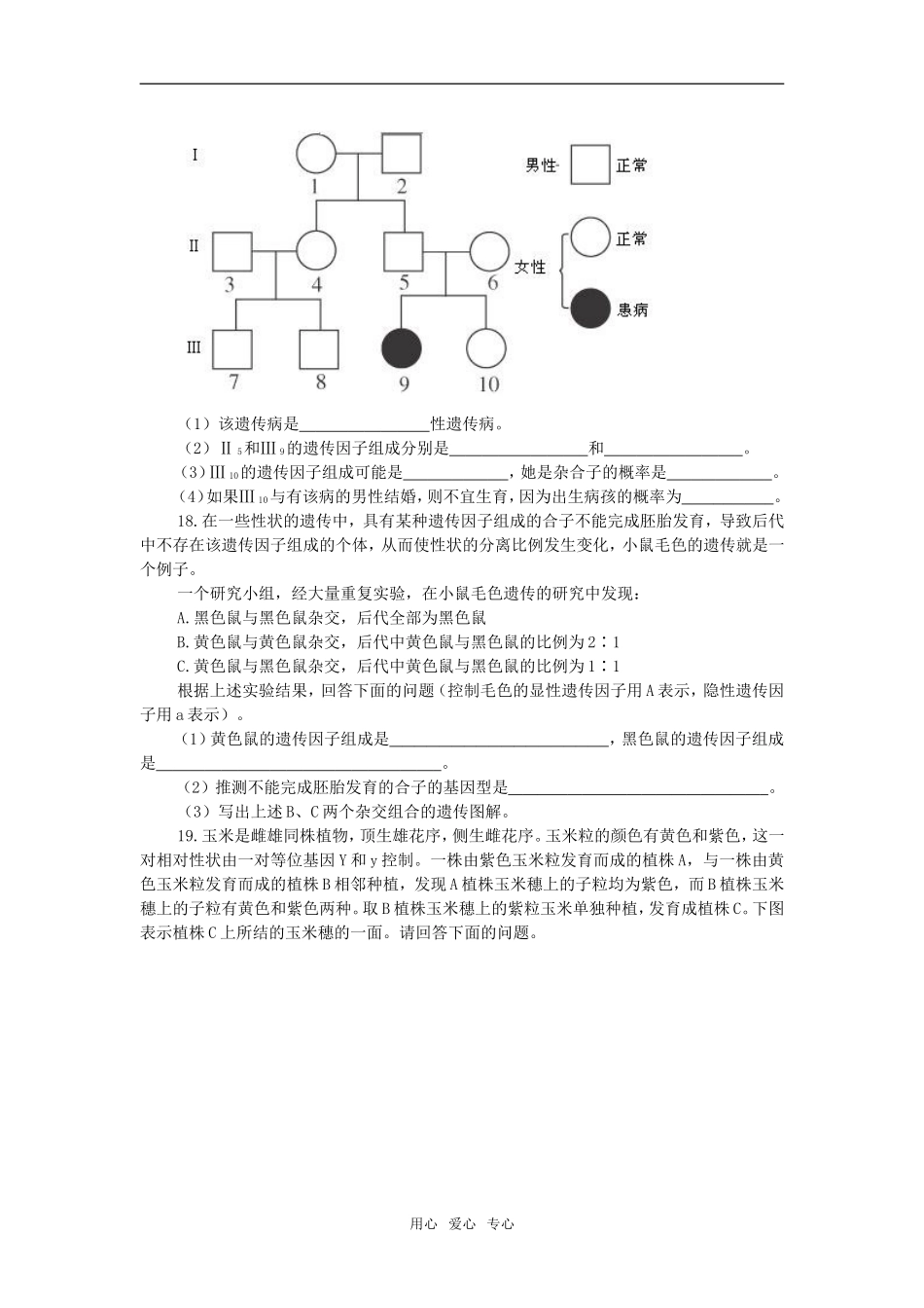 第1节　孟德尔的豌豆杂交实验（一）　自我测评_第3页
