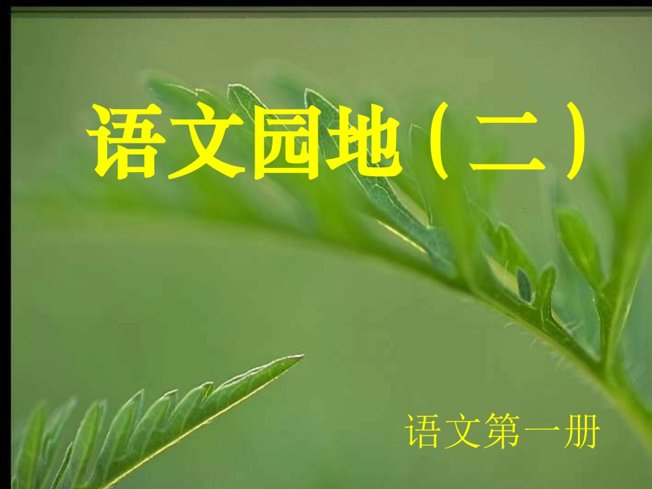 语文园地(二)_第1页