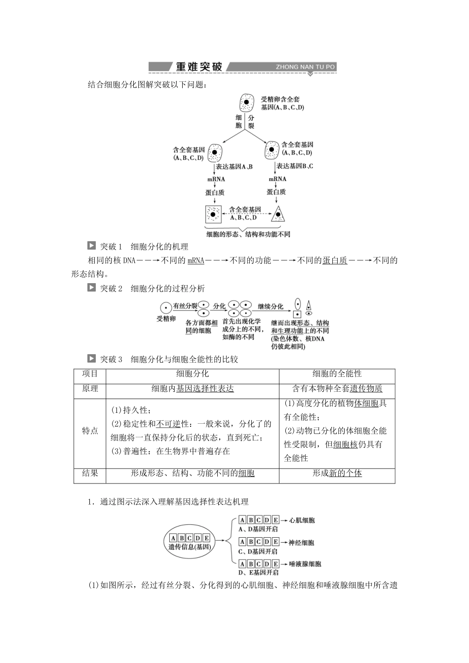 （全国）高考生物大一轮复习 第四单元 细胞的生命历程 第14讲 细胞的分化、衰老、凋亡及癌变学案-人教版高三全册生物学案_第2页