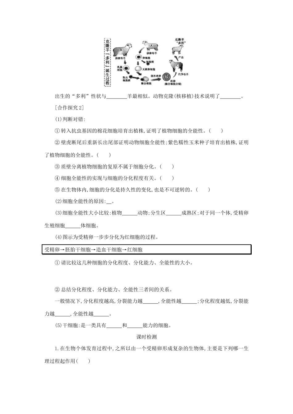 高中生物 6.2 细胞的分化学案（含解析）新人教版必修1-新人教版高中必修1生物学案_第3页