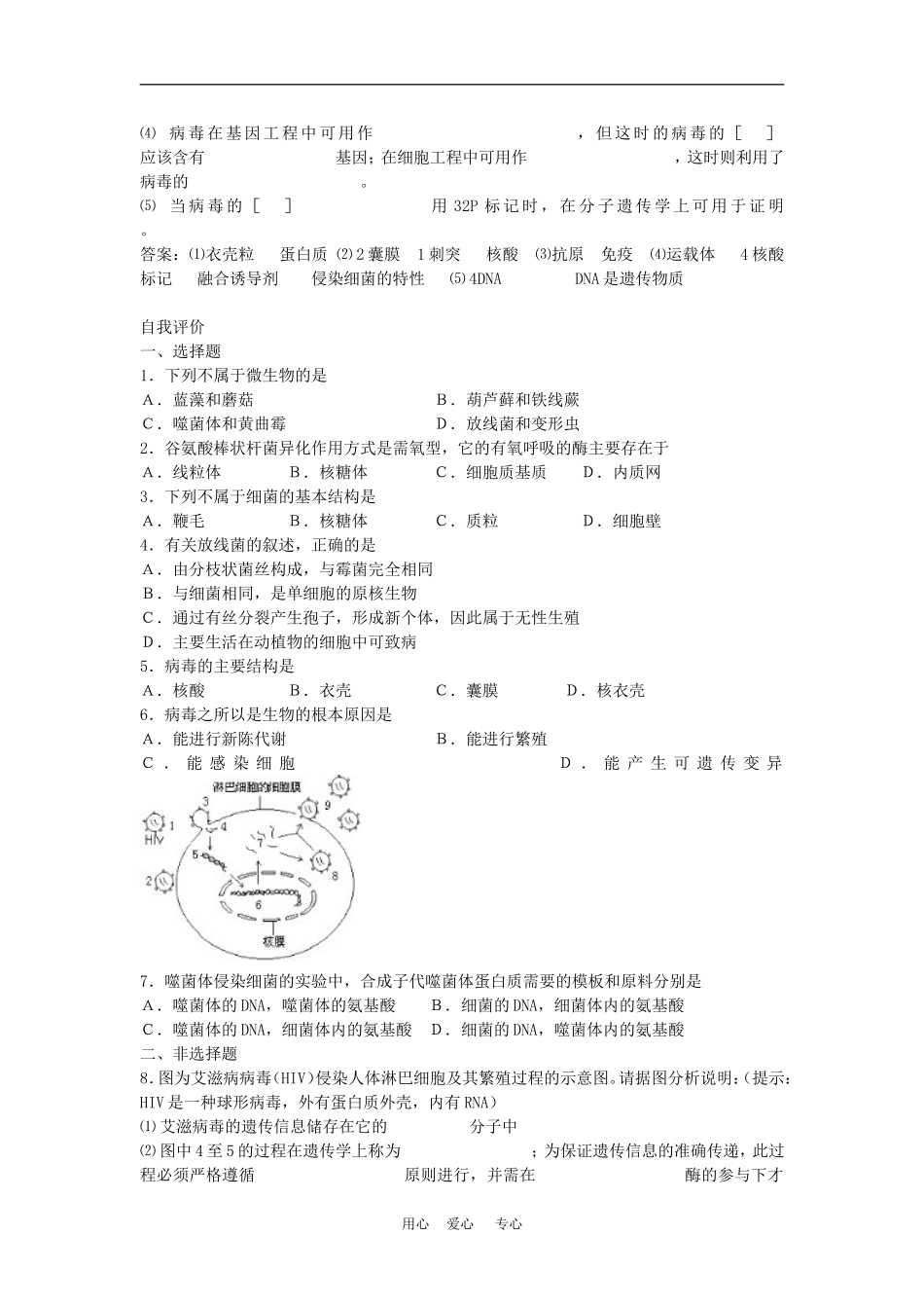 高二生物专题学案：微生物的类群 旧人教版_第2页