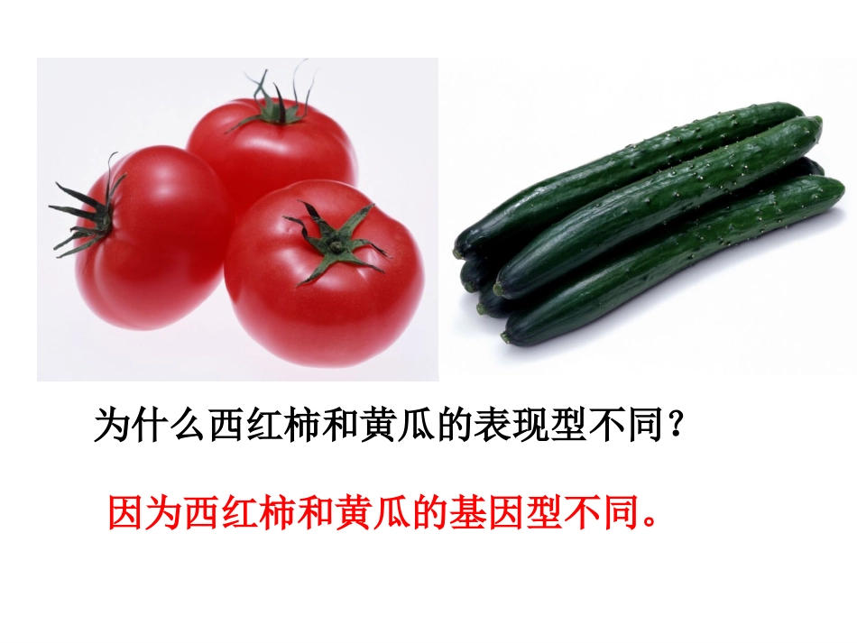 第五节遗传与环境_第3页